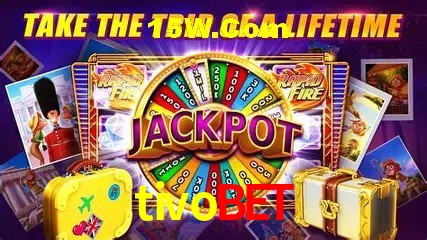 tivobet - Winners Celebration